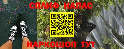 спайс Гусев