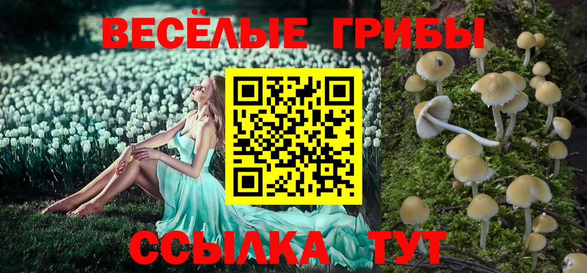 Галлюциногенные грибы GOLDEN TEACHER  Галлюциногенные грибы мицелий  Невинномысск  магазин продажи наркотиков  Вход с VPN 